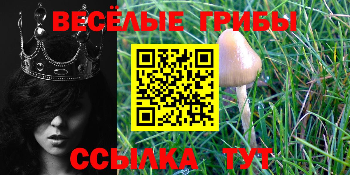 Псилоцибиновые грибы мухоморы  Вход с VPN  Псилоцибиновые грибы Psilocybe  Азов 